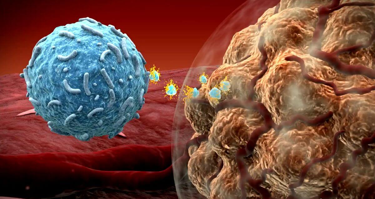 имунотерапия